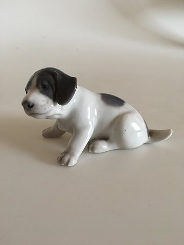 Royal Copenhagen Figur Pointer Hvalp No 1311 pre 1923