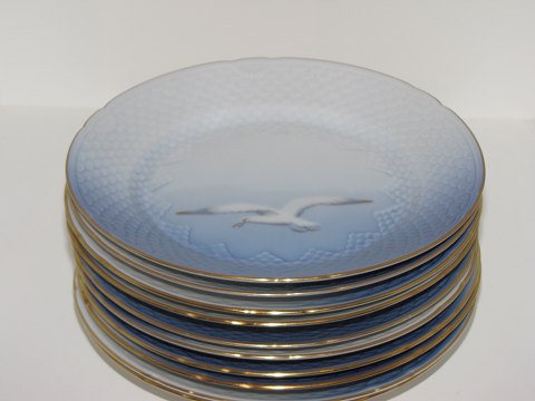 item no: 243231