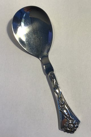 AP Berg Silver/Steel Serving Spoon