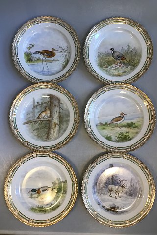 Royal Copenhagen Flora Danica/Fauna Danica Animal Luncheon Plates No 240/3550 
(Set of 12)