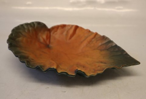 19 VIII  Begonia leaf for flower and fruit (natural mold) 22 x 14 1891  Ipsen 
Danish Art Pottery