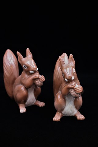 Bing & Grondahl porcelain figurine of a squirrel.
H:14 cm. B&G 2474.
