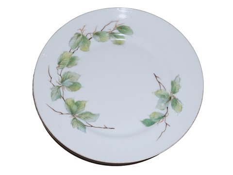 Beech Leaves
Luncheon plate 21.0 cm.