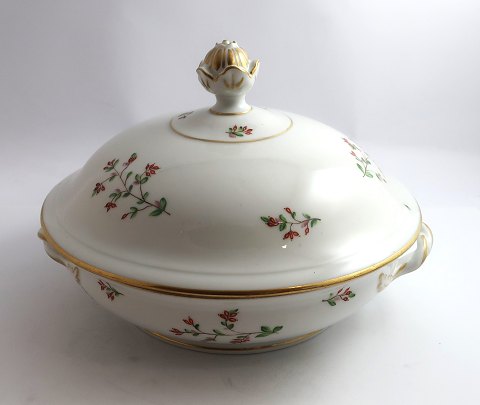 Red berries (barberry). Royal Copenhagen. Lid dish. Model 84/9034. Diameter 23.5 
cm. Produced before 1890. (2 quality)