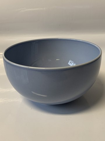 item no: 
600006