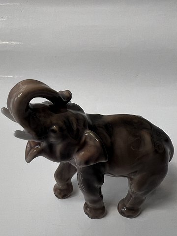 main