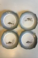 Danam Antik 
presents: 
Set of 12 
Royal 
Copenhagen Art 
Nouveau Fisk 
Service plates 
with Fish bordr 
No 3002