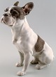 Rare Royal Copenhagen dog figurine 1466, French Bulldog sitting.