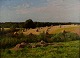 E. Torgny, Danish artist.
Danish summer harvest evening, landscape, oil painting.