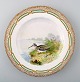 Royal Copenhagen Flora Danica / fauna Danica dinner plate with  motive of a bird 
in landscape.