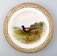 Royal Copenhagen Flora Danica / fauna Danica dinner plate with  motive of a 
pheasant in landscape.