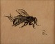 Leif Rydeng: b. Elsinore 1913 d., 1975.
Study of wasps.