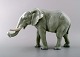 Karl Ens, Tyskland. Porcelænsfigur. Stor elefant.
