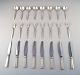 Georg Jensen Sterling Silver Block / Acadia Just Andersen.
Cutlery set 24 parts for eight.