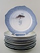 Arnold Krog for Royal Copenhagen : "Fiskestel" af porcelæn, 
Ni tallerkener dekoreret i farver med forskellige fisk.