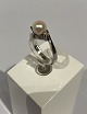 14 ct. white gold ring with pearl and two small diamonds.
5000m2 showroom.
