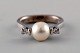 Ring in 18 kt. white gold decorated with an akoya saltwater culture pearl.
