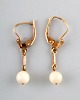 Danish 14K gold ear rings with Akoya saltwater culture pearls. Mid-1900 s.
