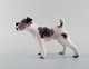 Dahl Jensen porcelain figurine. Wire haired fox terrier. Model Number 1009. 1st 
factory quality. 1930