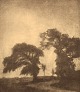 Svend Hammershøi heliogravure with motif of trees at Vordingborg, Denmark. 
Number 75. Early 20th century.