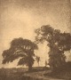 Svend Hammershøi heliogravure with motif of trees at Vordingborg, Denmark. 
Number 61. Early 20th century.
