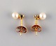 Swedish jeweler. A pair of classic ear studs in 18 carat gold adorned with 
cultured pearls and semi-precious stones. Mid-20th century.
