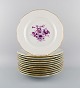 Twelve antique Meissen dinner plates in hand-painted porcelain with purple 
flowers and gold edge. Ca. 1900.
