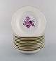 11 antikke Meissen dybe tallerkener i håndmalet porcelæn med lilla blomster og 
guldkant. Ca. 1900.
