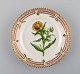 Royal Copenhagen Flora Danica side plate in hand-painted porcelain with flowers 
and gold decoration. Model number 20/3552.

