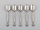 Five Georg Jensen Acanthus coffee spoons in sterling silver.
