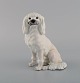 Rare Royal Copenhagen porcelain figurine. White poodle. Model number 1684. 
1920