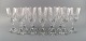 Baccarat, Frankrig. Tolv art deco Assas rødvinsglas i mundblæst krystalglas. 
1930