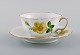 Antique Meissen teacup with saucer in hand-painted porcelain with floral motifs. 
Ca. 1900.
