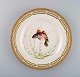 Royal Copenhagen Fauna Danica fish plate in hand-painted porcelain with fish and 
gold decoration. Model number 19/3549. Dated 1965
