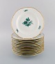 Tolv antikke Meissen tallerkener i porcelæn med håndmalede blomster og guldkant. 
Ca. 1900.
