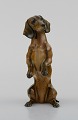Håndmalet Rosenthal porcelænsfigur. Stående gravhund. Midt 1900-tallet. 
