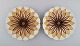 Two antique Meissen plates in hand-painted porcelain. Light brown flowers and 
gold decoration. Early 20th century.
