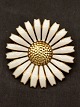 Marguerit broche