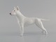 Royal Copenhagen porcelain figurine. English bull terrier. Dated 1957.
