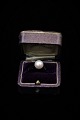 Fine old ring in 14 carat white gold with large fine pearl.
Ring size 56.