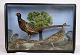 Osted Antik & Design presents: Display cabinet, pheasants, 1960Great condition
