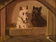 Aage Wang (1879-1959), Danish artist. Oil on canvas. Two terriers. Dated 1923.

