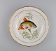 Royal Copenhagen porcelain dinner plate with hand-painted fish motif and golden 
border. Flora / Fauna Danica style. Dated 1951.
