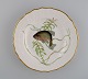 Royal Copenhagen porcelain dinner plate with hand-painted fish motif and golden 
border. Flora / Fauna Danica style. Dated 1968.
