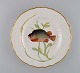 Royal Copenhagen middagstallerken i porcelæn med håndmalet fiskemotiv og 
guldkant. Flora / Fauna Danica stil. Dateret 1968.

