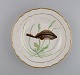 Royal Copenhagen middagstallerken i porcelæn med håndmalet fiskemotiv og 
guldkant. Flora / Fauna Danica stil. Dateret 1951.
