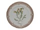 Antik K presents: Flora Danica Side plate 17 cm. #3551