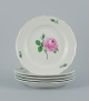 Meissen, Germany, five dinner plates hand painted with floral motifs in 
different colors.