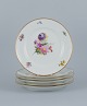 Bing & Grøndahl, six dinner plates Saxon flower, hand painted with floral motifs 
in polychrome colors and gold edge.