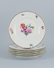 Bing & Grøndahl, six dinner plates Saxon flower, hand painted with floral motifs 
in polychrome colors and gold edge.